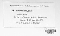 Image Associated With the Occurence